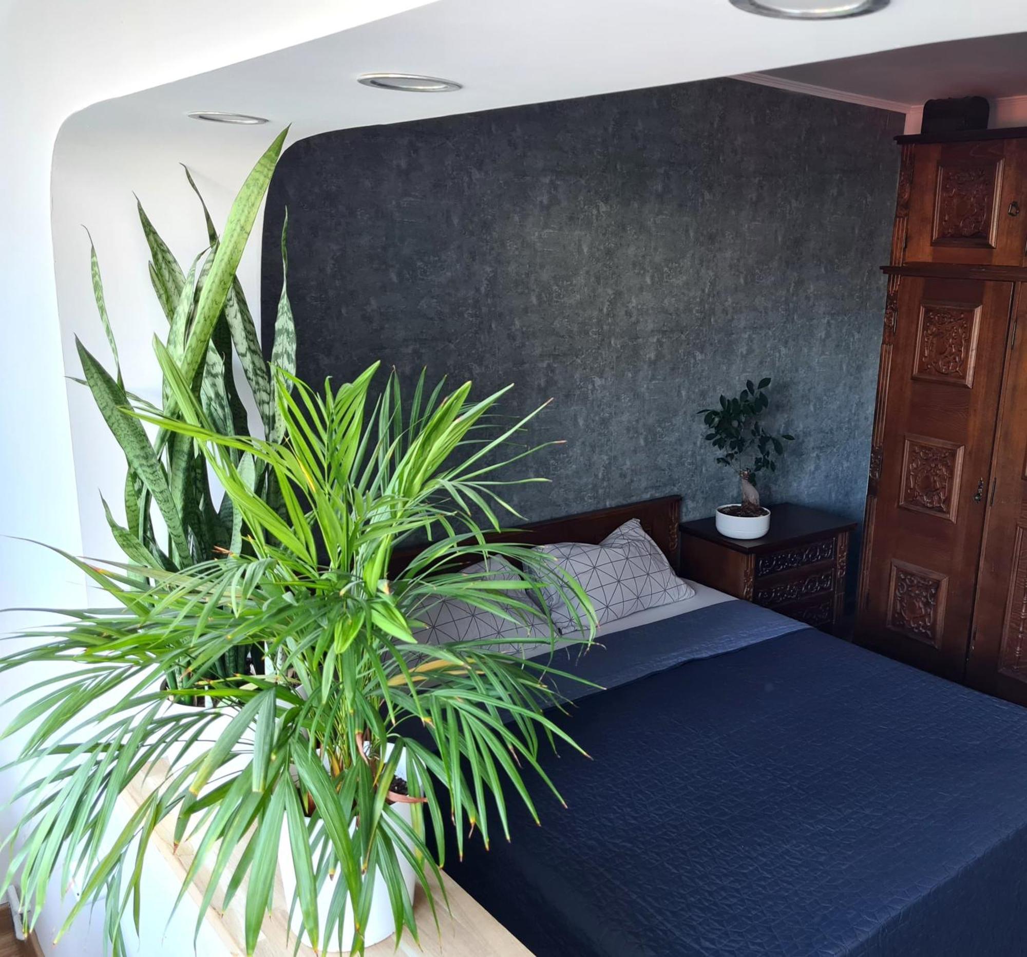 Apartment In Dristor Area ブカレスト エクステリア 写真
